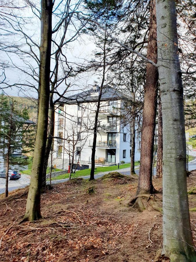 Apartament Wlochatka Z Sauna Finska Сверадув-Здруй Экстерьер фото