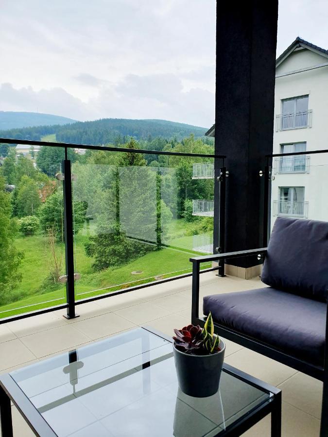 Apartament Wlochatka Z Sauna Finska Сверадув-Здруй Экстерьер фото